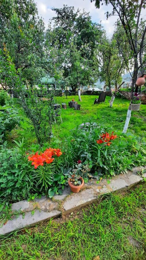 Apartments Gio-Nika Kazbegi Dış mekan fotoğraf