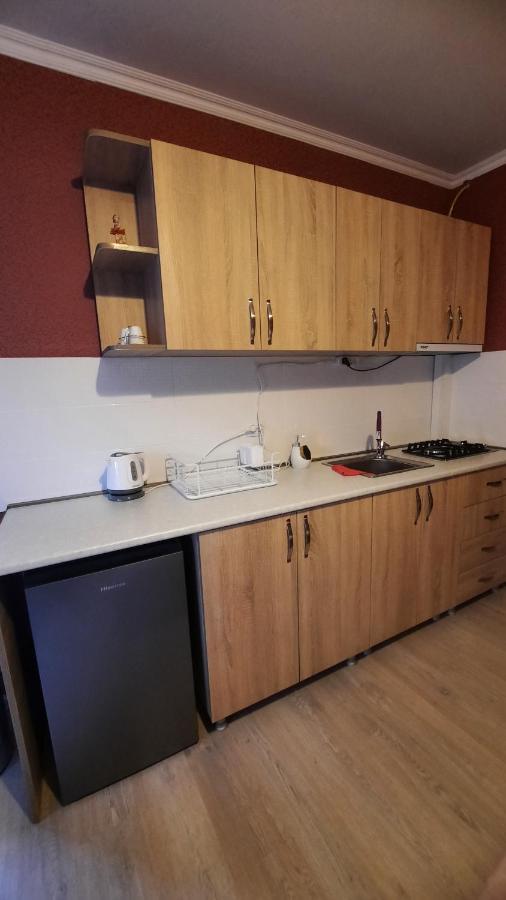 Apartments Gio-Nika Kazbegi Dış mekan fotoğraf